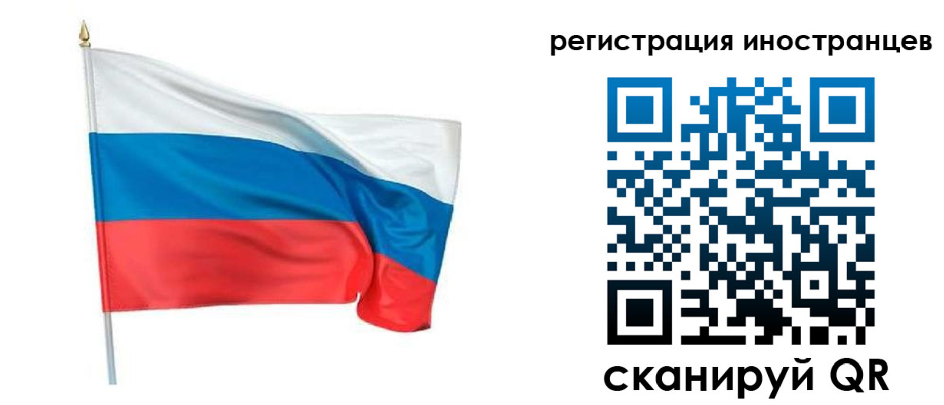 прописка 2025 в Зверево